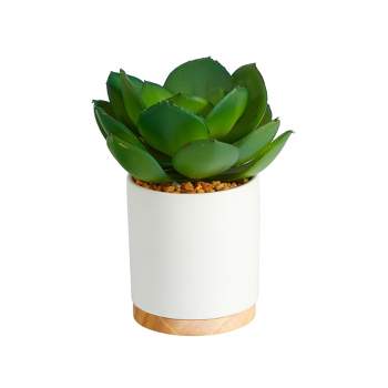 Nearly Natural 6-in Succulent Artificial Plant in White Ceramic Planter