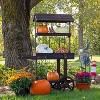 Sunnydaze Country Market Flower Cart Display Stand - 49.25” H - 3 of 4