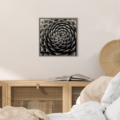 Black and White Succulent Framed Canvas Wall Art, 20" x 19"