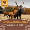 WhiteTail Naturals Extra Large Deer Antler Chew for Aggressive Large Dogs – Durable, Natural Long-Lasting Bone – Single Pack - 2 of 4