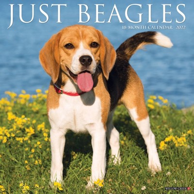 2022 Wall Calendar Just Beagles - Willow Creek Press