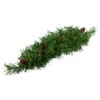 Northlight  Pine with Pinecones Artificial Christmas Swag - 32" - Unlit - 3 of 4
