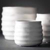 Sullivans 5", 4" & 3" Matte Ivory Ribbed Round Pots Set of 3, White - 2 of 4