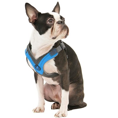 Gooby Trekking Harness, Small Dog Fleece Lined Harness with Memory Foam Padding, Blue, Small