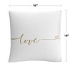 Decorative Throw Pillow_6 by Trademark Fine Art - 4 of 4