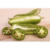 La Costena Green Pickled Sliced Jalapeno Peppers - 28oz - image 3 of 3