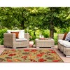 Liora Manne Ravella Floral Indoor/Outdoor Rug.. - 4 of 4