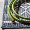 Bermuda BMU818  Machine Washable UV Resistant Stain Resistant Non-Shedding Power Loomed Indoor/Outdoor Rugs - Safavieh - 4 of 4