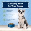 Blue Buffalo High Protein Chicken Flavor Dry Dog Food - 4lbs - 4 of 4