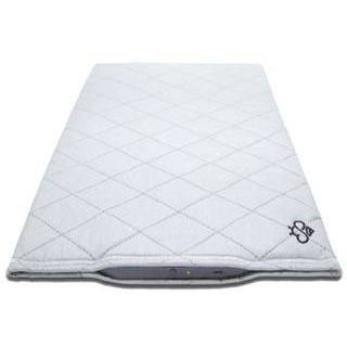 Hapbee Smart Sleep Pad