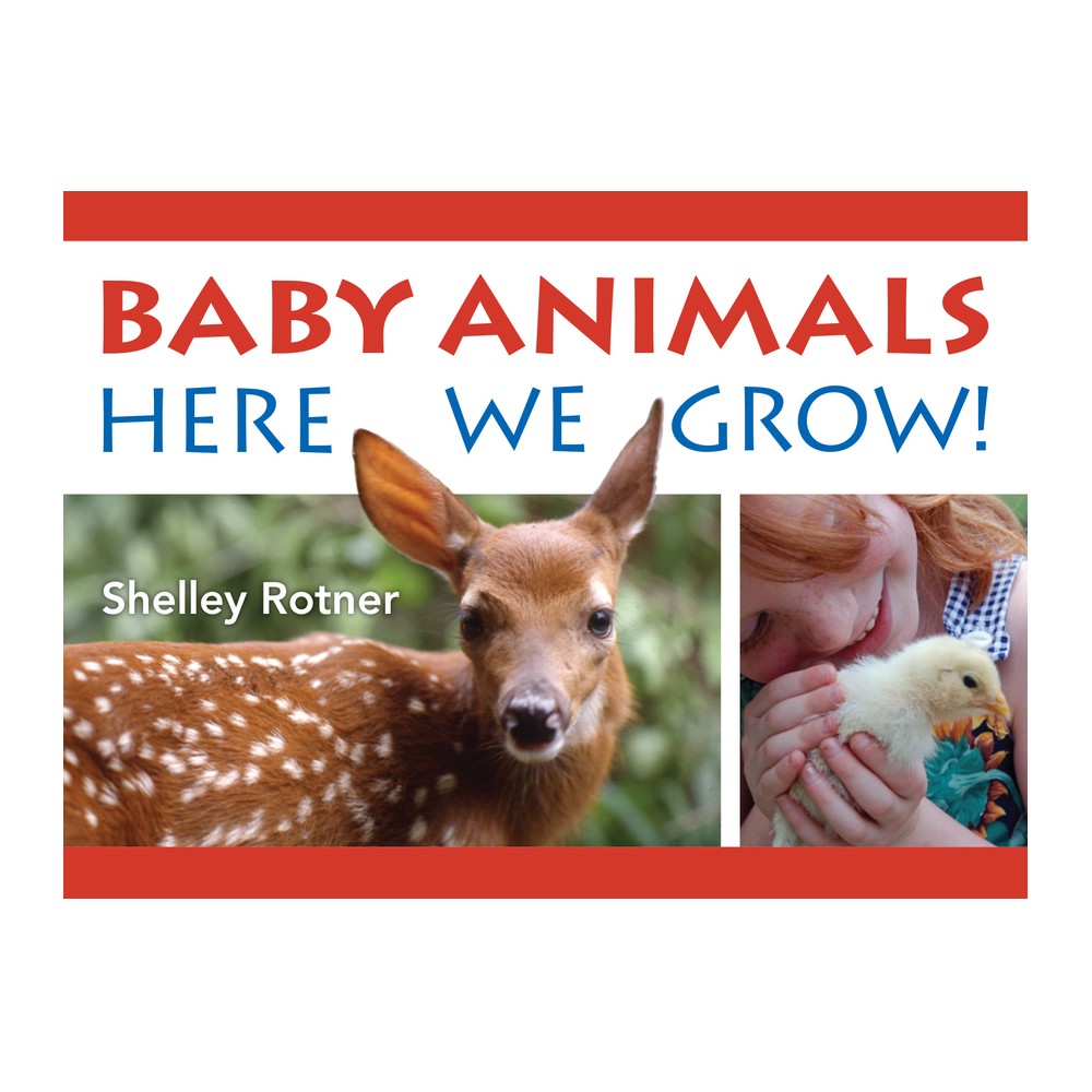 Baby Animals! - by Shelley Rotner (Board Book)