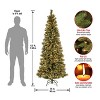 HGTV Pre-lit Glittered Slim Bristle Pine Artificial Christmas Tree with Warm White LED Lights - 4 of 4