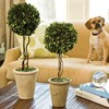 Plum & Post Boxwood Single Faux (Fake) Sphere Topiary 23.25" - 2 of 2
