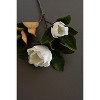 Artificial Magnolia Flowers with Leaves Spray 39"L – Lifelike Floral Stem, Set of 6 by Kalalou - 3 of 4