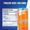 Red Bull Sugar Free Amber Edition Energy Drink - 4pk/8.4 fl oz Cans - 2 of 4