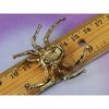 Anna-Kaci Women's Crystal Spider Brooch Pin with Blue Gemstone Accents - 4 of 4