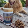 Soothe Salmon Bites Skin and Coat Care - 3 of 4