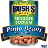 Bush's Reduced Sodium Pinto Beans - 16oz - image 3 of 4