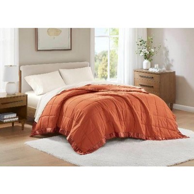 Sapphtopaz Twin Size 3M Scotchgard Down Alternative Blanket, Microfiber Throw Blanket with Satin Trim, 68" x 90" Lightweight Cooling Blankets for Bed