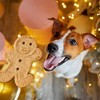 Buddy Biscuits Gingerbread Flavor Holiday Dog Treats - 16oz - 3 of 4