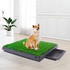 Sevobal Pet Training Pads and Potties, Cat Litter Mat with Urine and Water Proof Function, Grassland Shape Mat for Cat, Green, 25"*20"*0.2" - 3 of 4