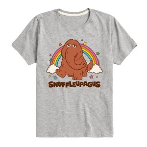 Boys' - Sesame Street - Snuffleupagus Short Sleeve Graphic T-Shirt - 1 of 4