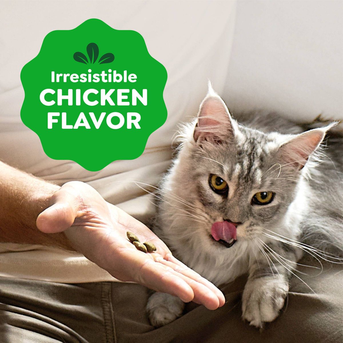 Greenies Smartbites Healthy Indoor Chicken Flavor Cat Treats - thumbnail 4