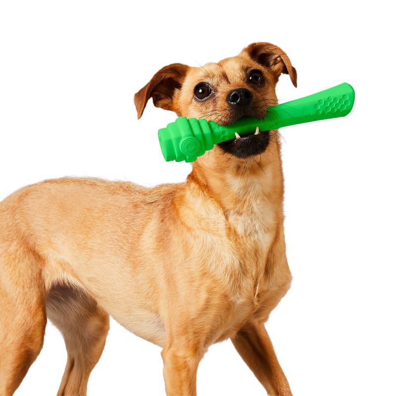 Project Hive Pet Company Tropical Coconut Fetch Stick Interactive Dog Toy - Green, 4 of 9