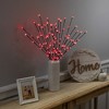 Northlight LED Lighted Cherry Blossom Artificial Branch Sprays - 30" - Red - Set of 3 - 2 of 4
