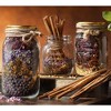 Bormioli Rocco Quattro Stagioni Mason Jar - One-Piece Twist Top Lid, Beehive Motif - Embossed Glass Container, BPA-Free, Made in Italy - 3 of 4