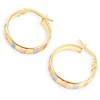 Pompeii3 14k Yellow Gold 4mm Small Tri-Color Hoops Women's Earrings 3/4" Tall 1.35grams - 3 of 4