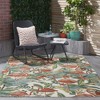 Waverly SND75 Flamingo Indoor/Outdoor Area Rug - 4 of 4