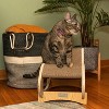 Armarkat Rocking Chair Detachable Swing Chair Cat Activity Center - Natural Wood - 13.5" - 4 of 4