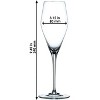 Nachtmann ViNOVA Champagne Flutes, Set of 4, 9 oz Crystal Stemmed Sparkling Wine Glasses, Modern Design, Elegant Gift-Ready Packaging, Made in Germany - 2 of 4
