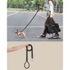 Feandrea Airline Approved Small Dog Carrier, Collapsible Pet Travel Carrier, Size S, Leash, Pocket, Small Dogs up to 13 lb, 17 x 12 x 12 Inches, Black - 3 of 4