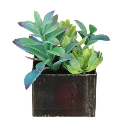 Northlight 7" Succulent Plant Artificial Potted Arrangement - Green/Brown