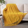 PAVILIA Chenille Throw Blanket with Woven Knitted Tassel Fringe for Couch, Living Room Decor and Bed - 3 of 4
