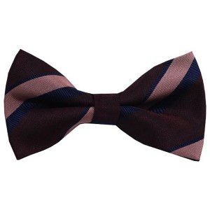 Men's Stripe Color 2.75 W And 4.75 L Inch Pre-Tied adjustable Bow Ties - 1 of 3