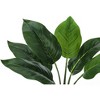 Vynxaria Artificial Plant, Tall, Aureum, Indoor, Faux, Fake, Table, Greenery, Potted, Real Touch, Decorative, Green Leaves, White Pot - 4 of 4