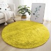 5ft Round Fluffy Area Rug, Soft Shaggy Circle Carpet for Bedroom, Kids Girls Boys Room - 2 of 4