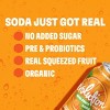 Evolution Fresh Orange Squeeze Real Fruit Soda - 12 fl oz - image 4 of 4