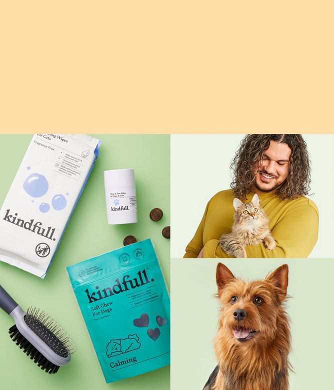 Pet Health Wellness Target