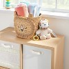 Braided Water Hyacinth Medium Round Storage Basket - Lion - Cloud Island™ - 2 of 4