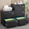 INFURNIC Decorative Storage Cabinet 2 Drawer Metal File Cabinet with Lock for Office Organization, Black, 30.9"*6.5"*27.9" - 3 of 4