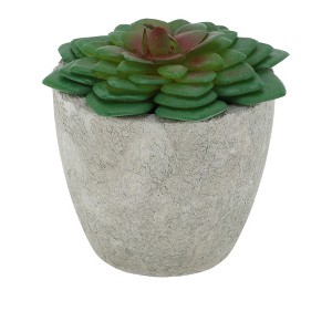 Unique Bargains Artificial Plants Mini Giant Echeveria in Pulp Plastic Green 2.76"x2.76"x2.95" 1 Pcs - 1 of 4