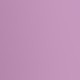 wild lilac
