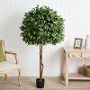 HomeStock  5.5 ft. Artificial Ficus Tree in Pot for Indoor/Outdoor - 2 of 3