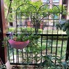 Gulches 2-Pack Rustproof Metal Garden Trellis for Climbing Plants, 86.7" x 19.7" Outdoor Flower Support, Black - 3 of 4