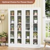 Mlezan Display Cabinet: Glass Doors, 4 Adjustable Shelves, Locking Case. Ideal for Home, Office, or Clinic. Assembly Required. - 4 of 4