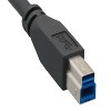 SANOXY Cables and Adapters; USB2.0 A Male to B Male Cable - image 3 of 3